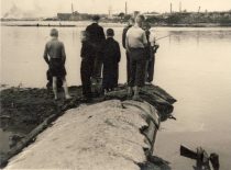 Vasara prie Nemuno, 1958 m. Nuotr. D. Palukaičio. (Originalas – KTU muziejuje)