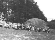 Prie Puntuko akmens, 1957 m. (Konstantino Sasnausko nuotr.)